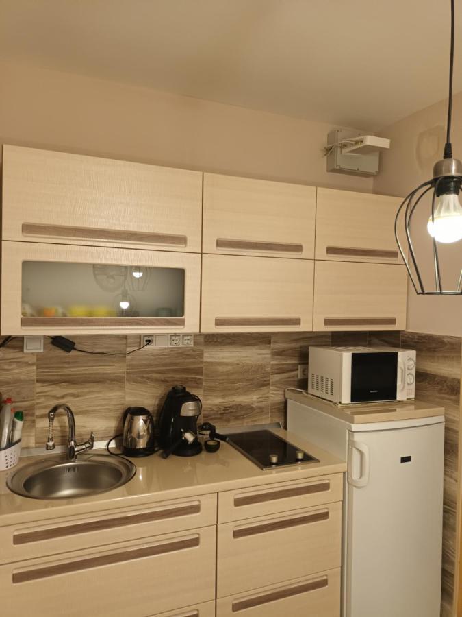 Sasvar Apartment